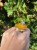 4a125f9db5bee6ebc3b499e1f2a1a127.jpg
